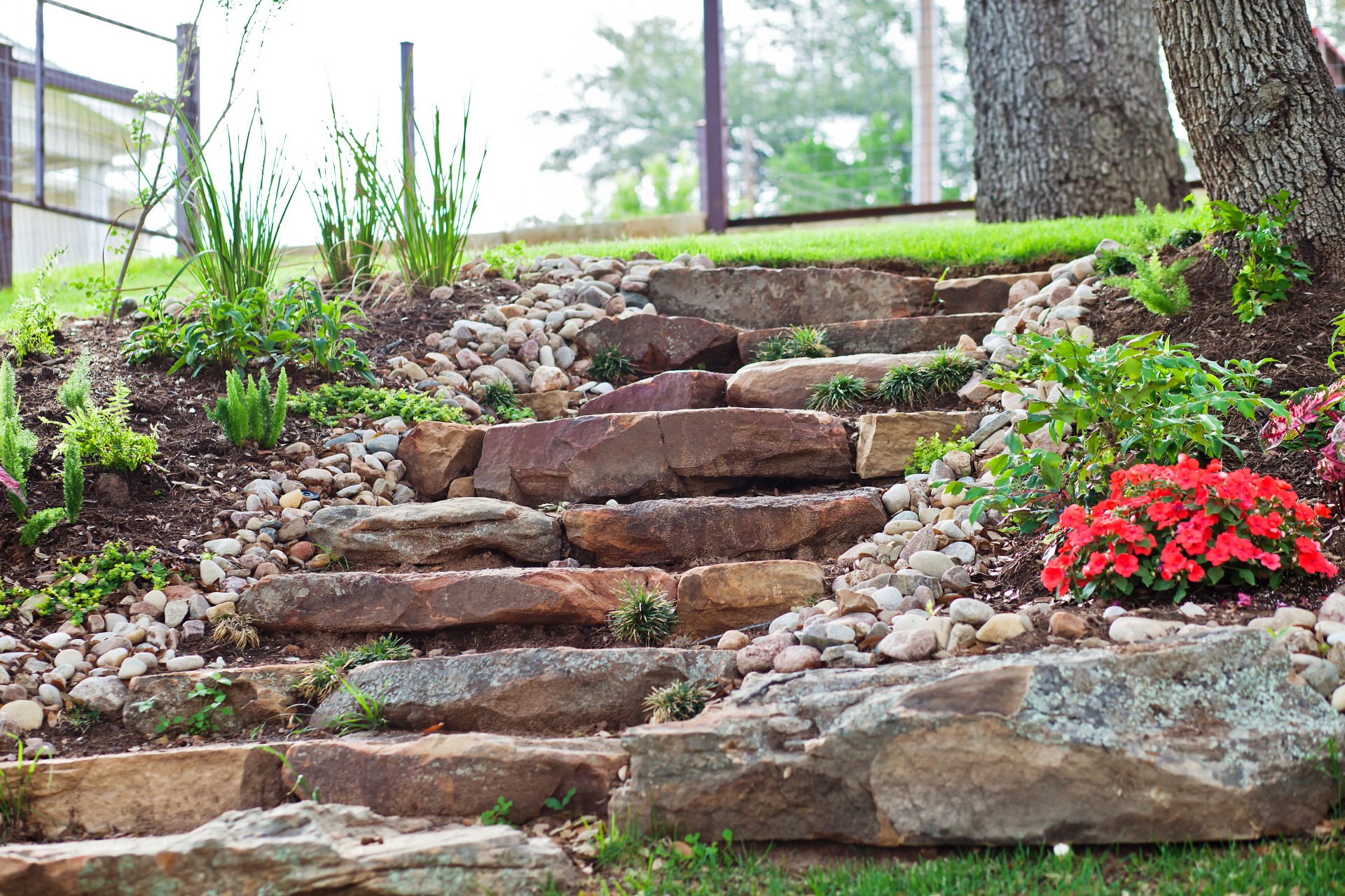 close up view on stone stairs, small plants, and shrubs